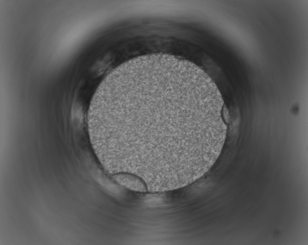 X0000115670574200912241422