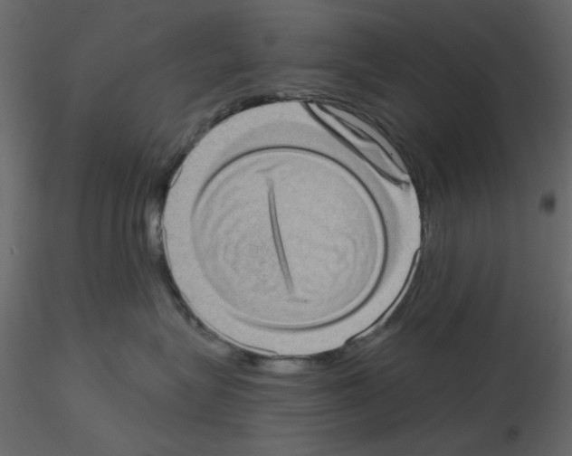 X0000115670575200912241422