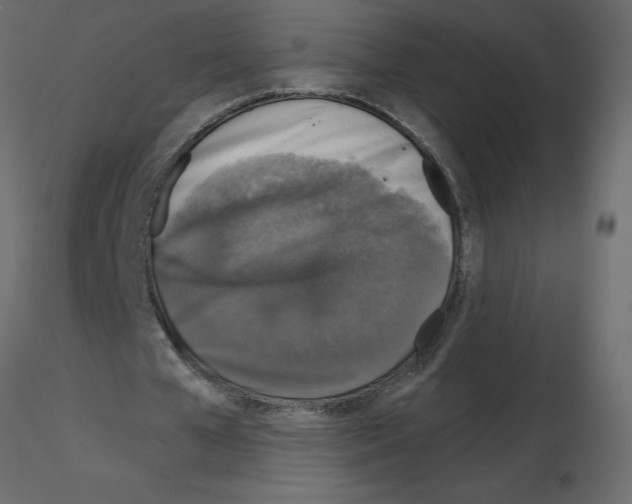 X0000115670577200912241421