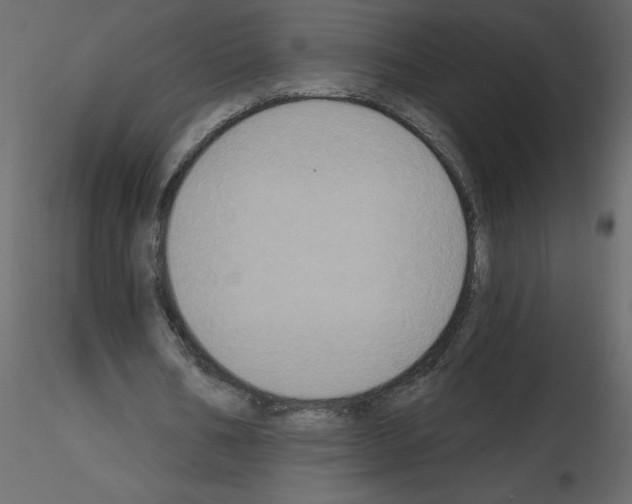 X0000115670578200912241421