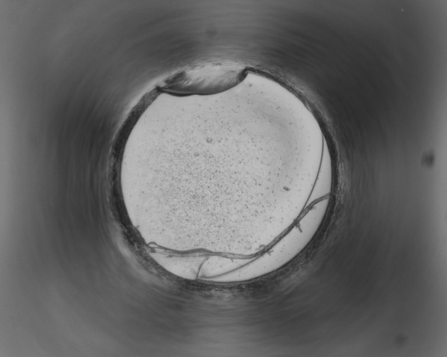 X0000115670580200912241421