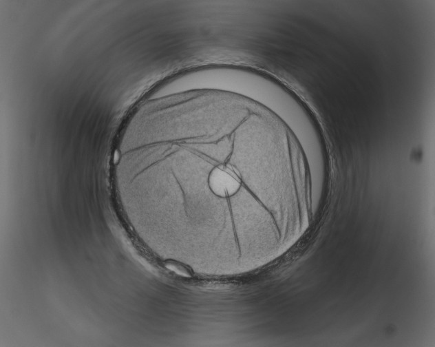 X0000115670581200912241421