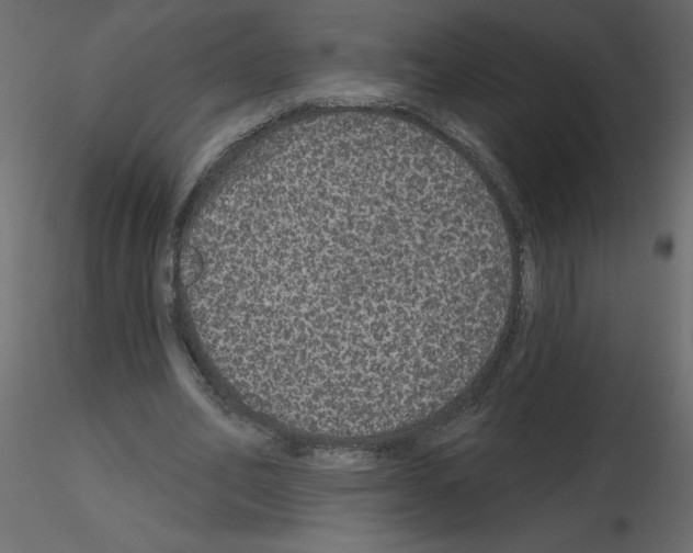 X0000115670582200912241421