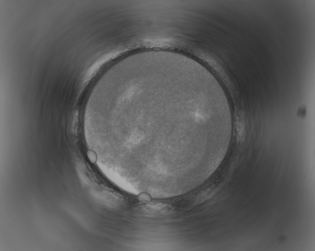 X0000115670583200912241421