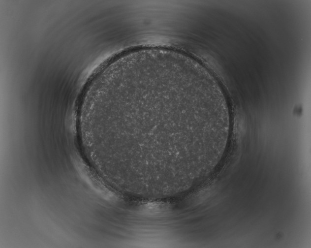 X0000115670584200912241421