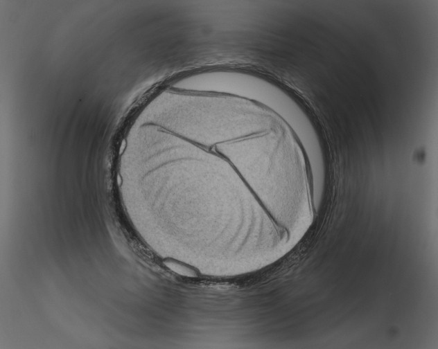 X0000115670587200912241421