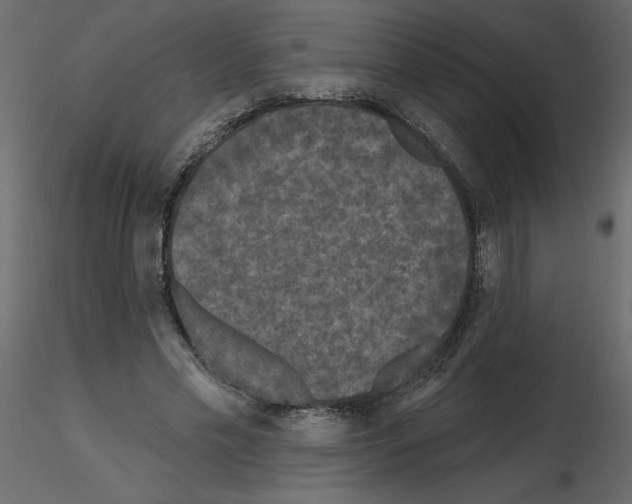 X0000115670589200912241421