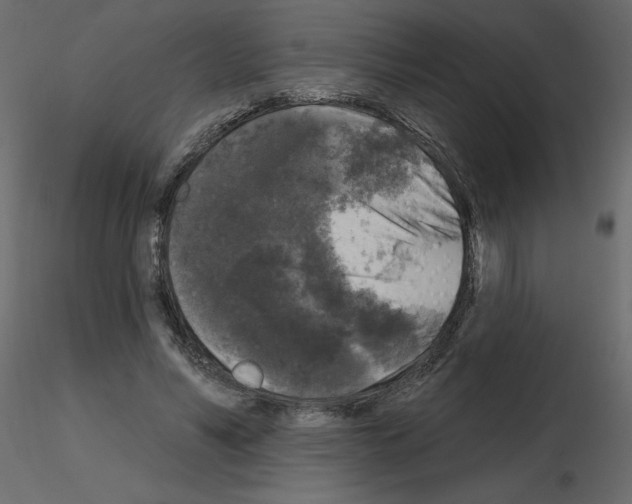 X0000115670590200912241421