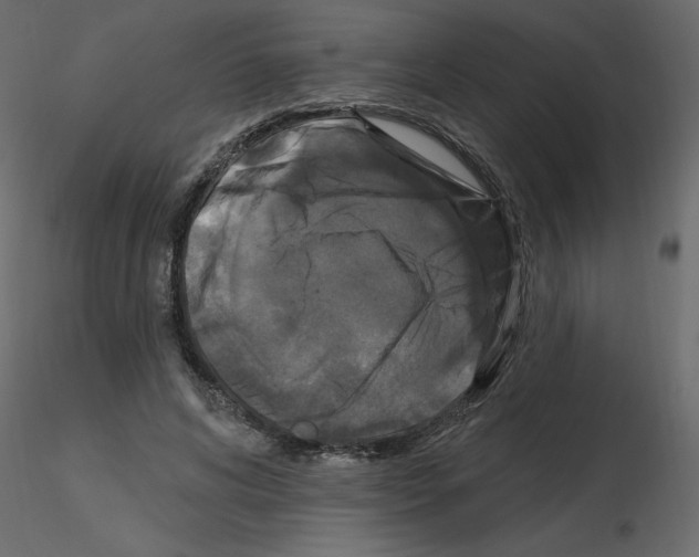 X0000115670592200912241421