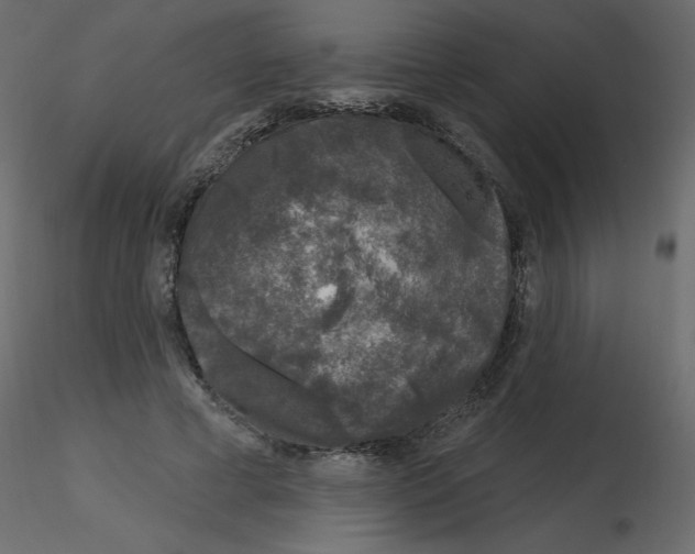 X0000115670593200912241421