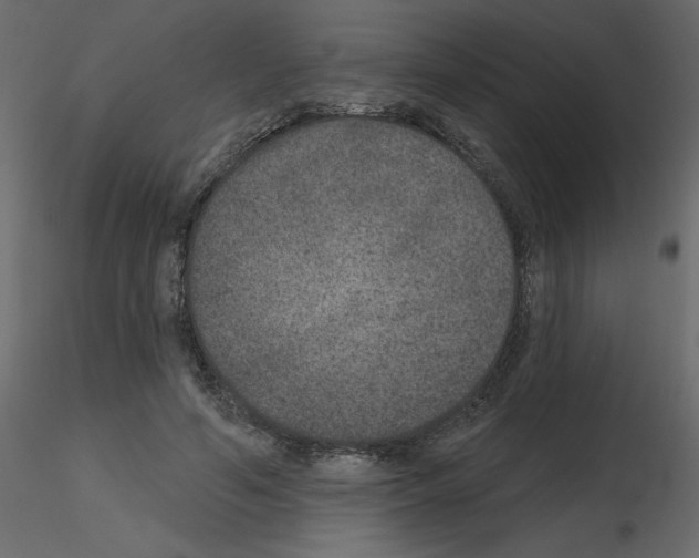 X0000115670594200912241421