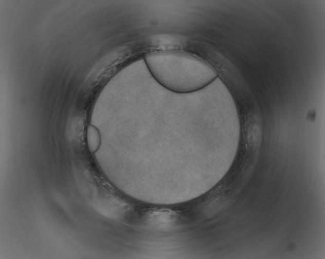 X0000115670595200912241421