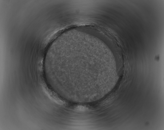 X0000115670596200912241421