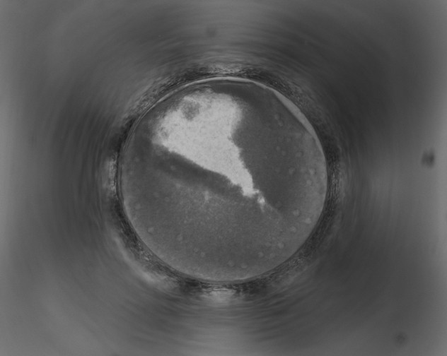 X0000115670598200912241421