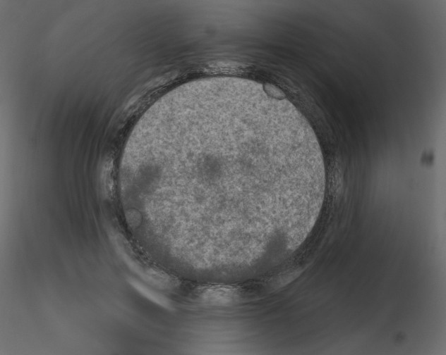 X0000115670599200912241421