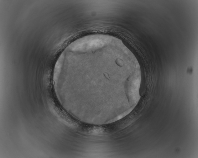 X0000115670600200912241421