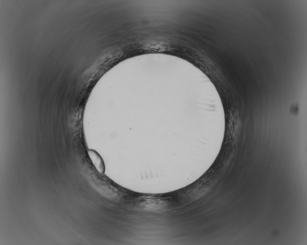 X0000115670601200912241421