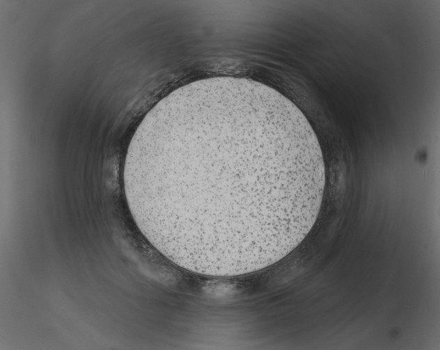 X0000115670602200912241421