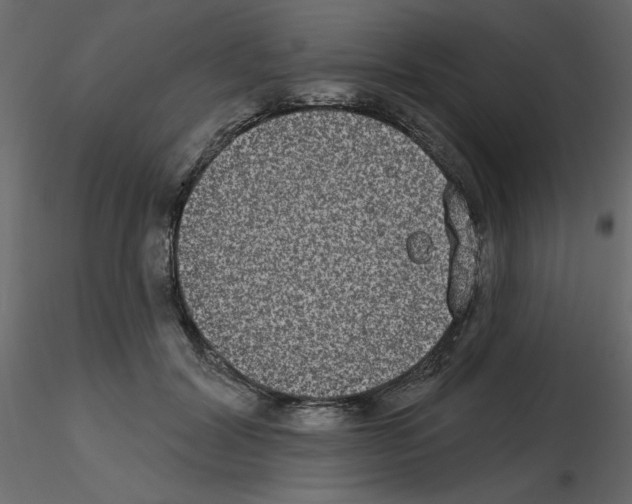 X0000115670604200912241421