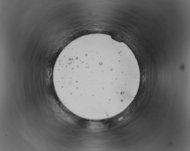 X0000115670605200912241421