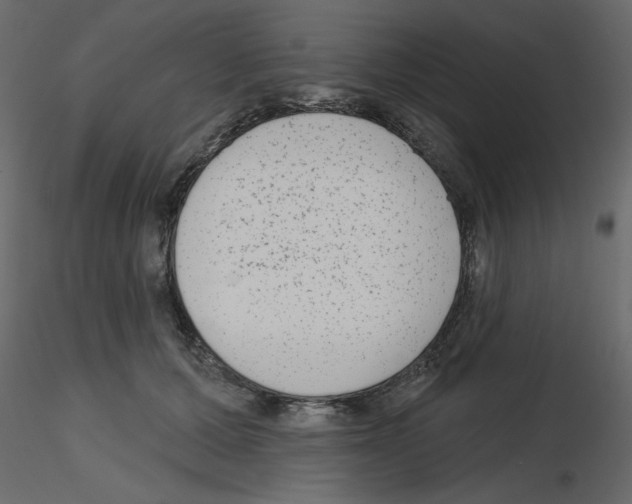 X0000115670607200912241421