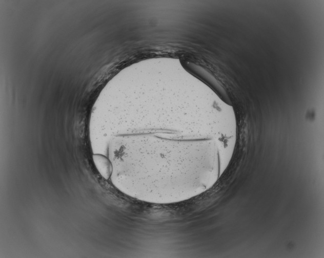 X0000115670608200912241421