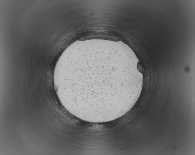 X0000115670609200912241421