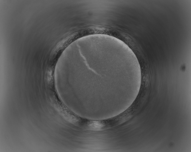 X0000115670610200912241421