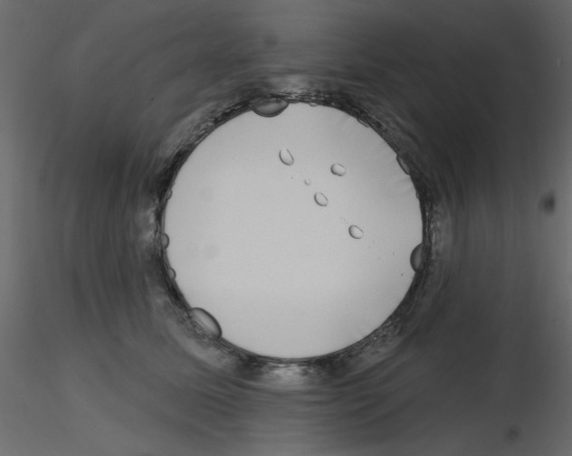 X0000115670611200912241421