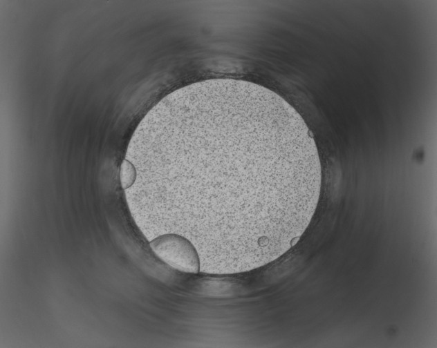 X0000115670614200912241421