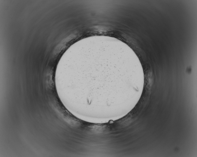 X0000115670615200912241421