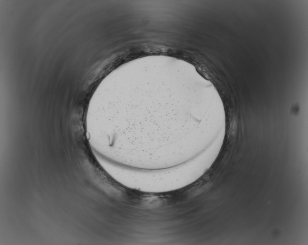 X0000115670616200912241421