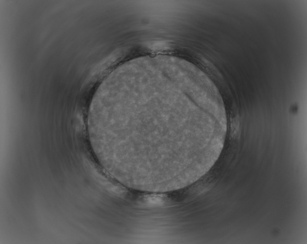 X0000115670618200912241421