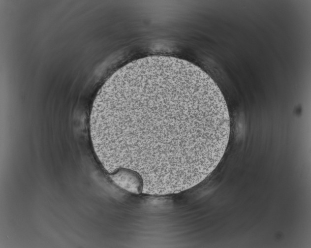 X0000115670619200912241421