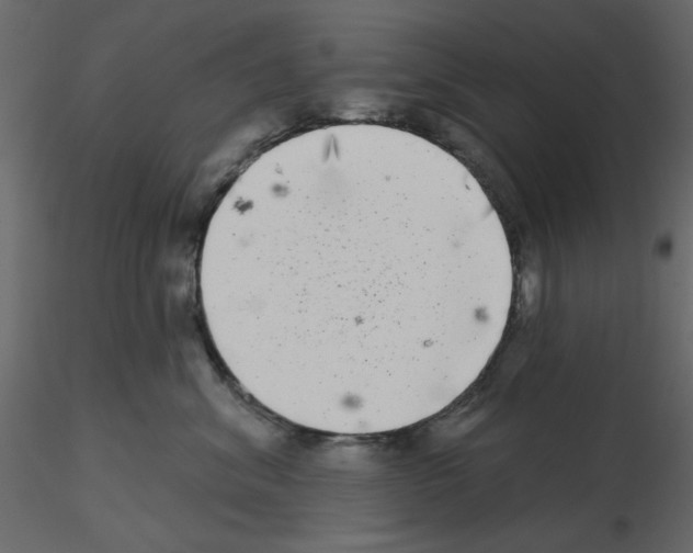 X0000115670620200912241421