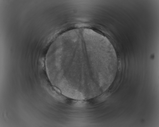 X0000115670621200912241421