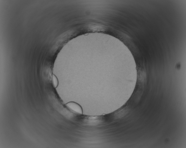 X0000115670622200912241421