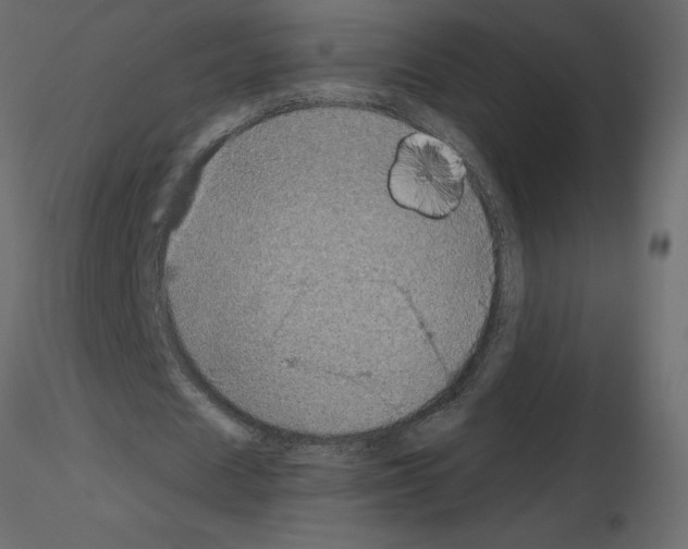 X0000115670625200912241420