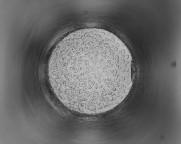 X0000115670626200912241420