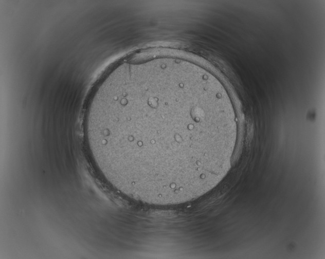 X0000115670628200912241420