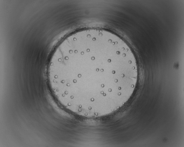 X0000115670629200912241420