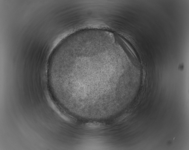 X0000115670630200912241420