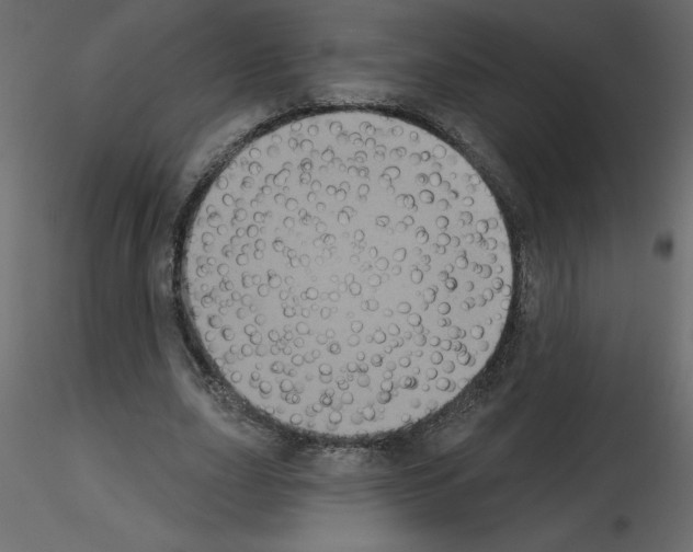 X0000115670631200912241420