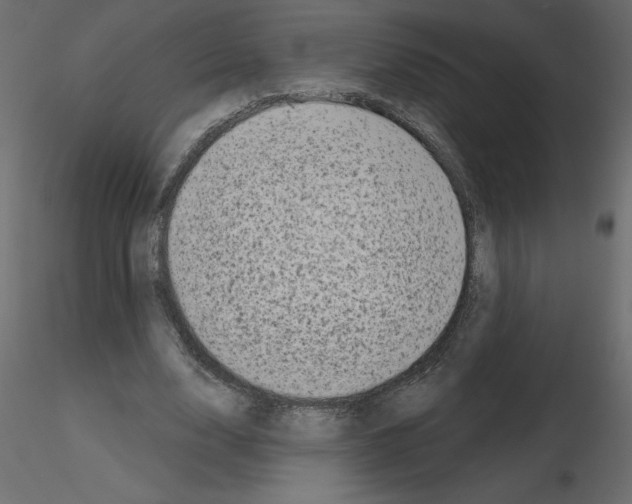 X0000115670632200912241420