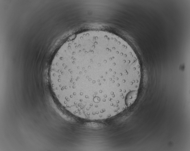 X0000115670633200912241420