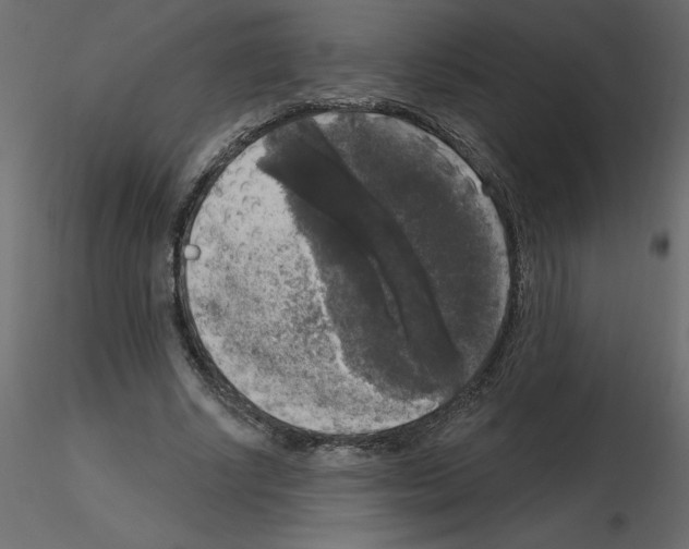 X0000115670634200912241420