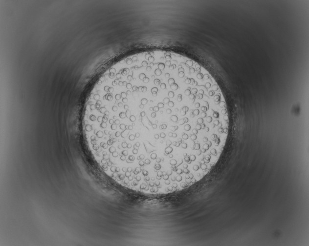 X0000115670635200912241420