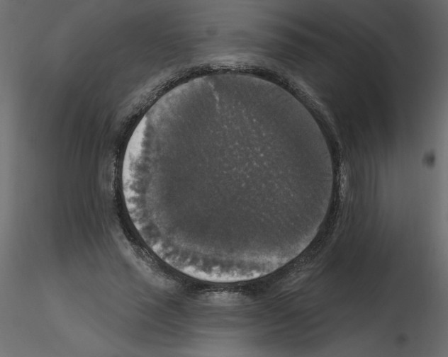 X0000115670637200912241420