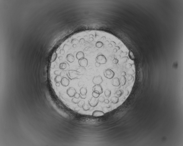 X0000115670638200912241420