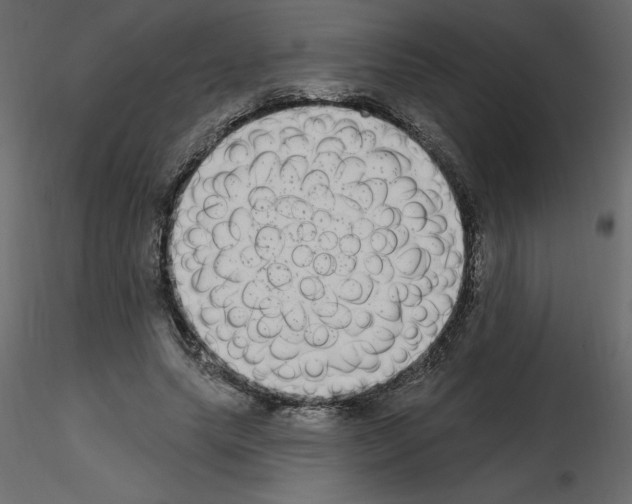 X0000115670639200912241420